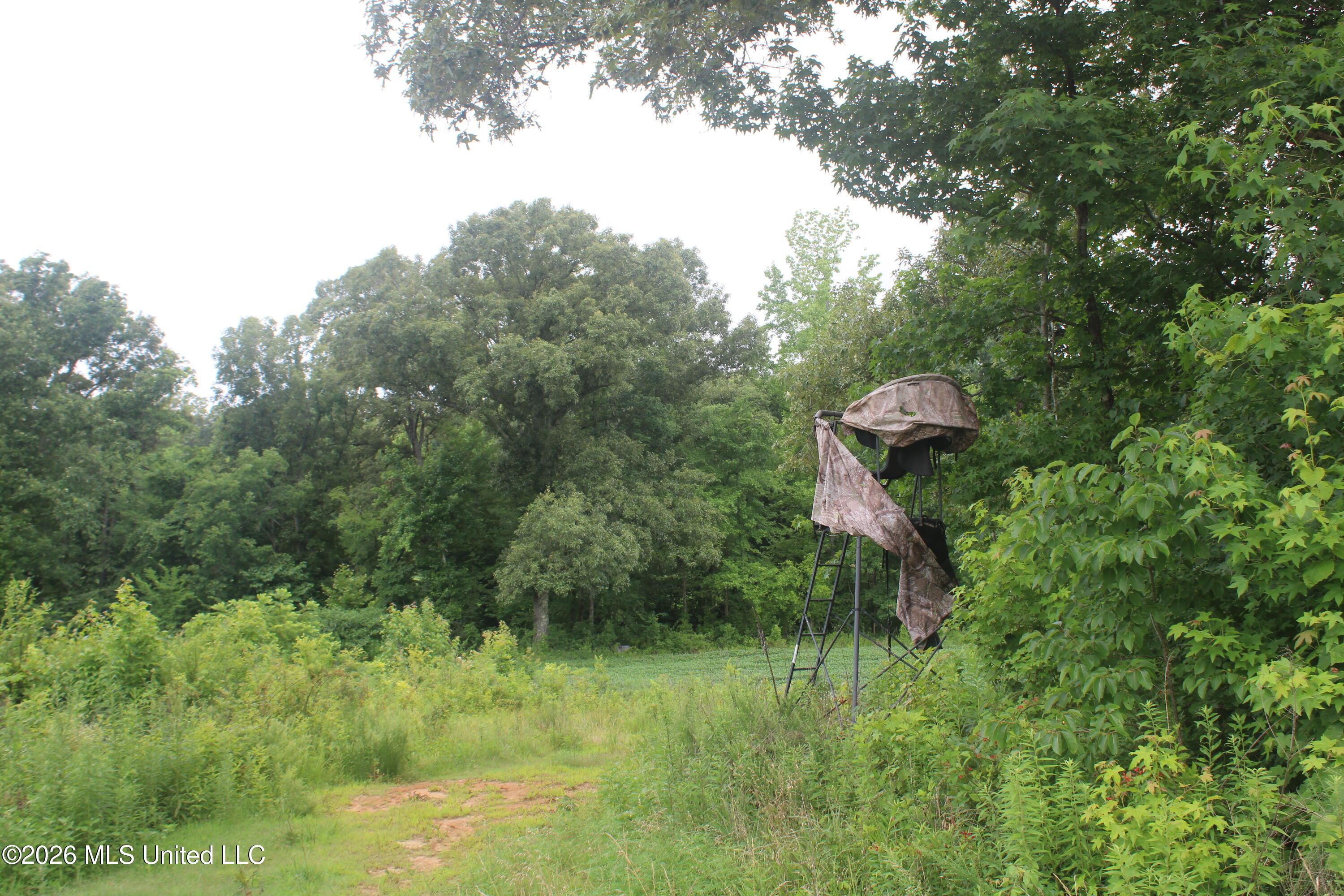 1500 Allen Corner Road Lamar, MS 38642 - Photo 8 of 17 IMG_7976