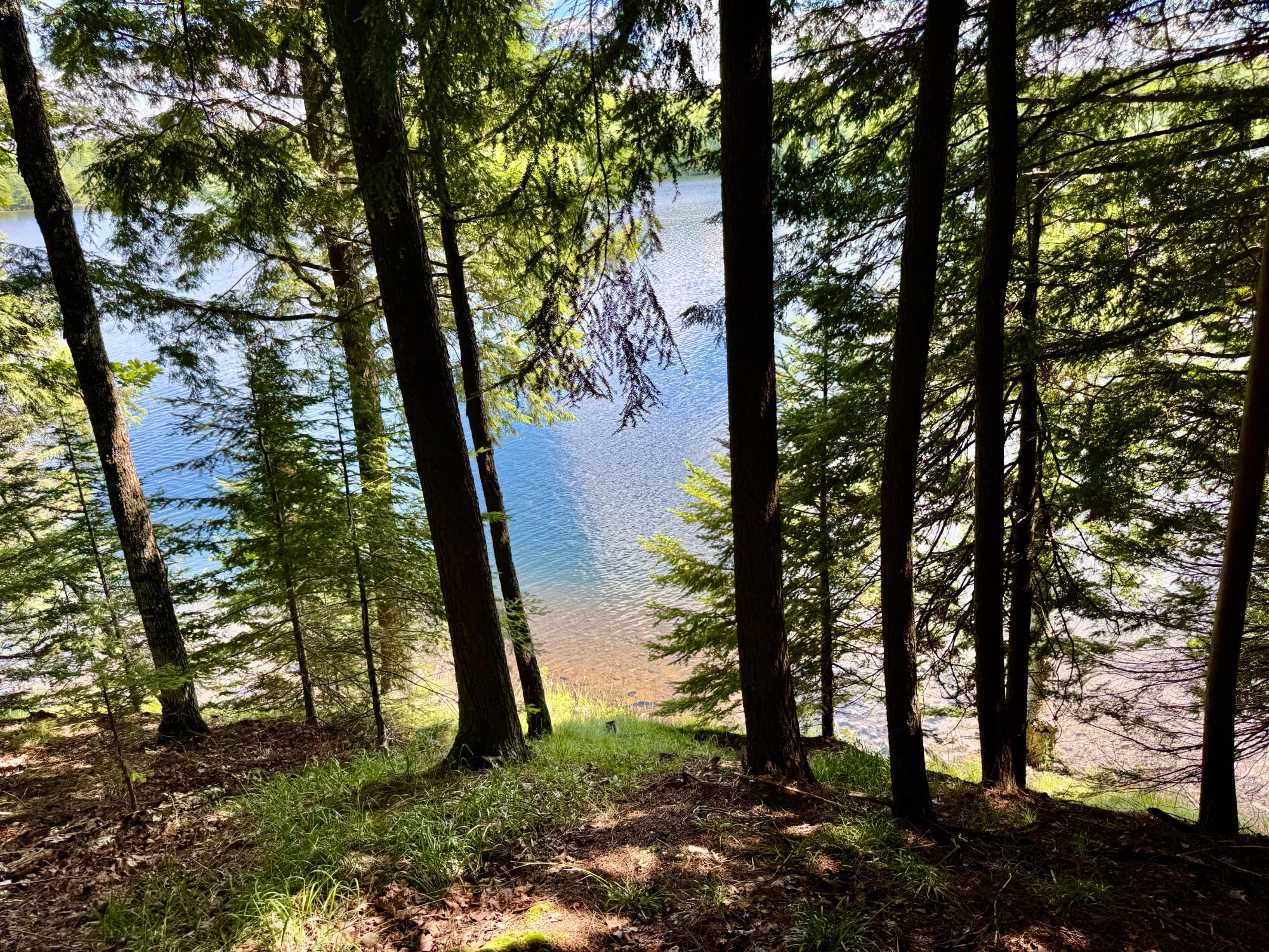 On Beatons Lake Road Watersmeet, MI 49969 - Photo 9 of 27 Gallery Image 9