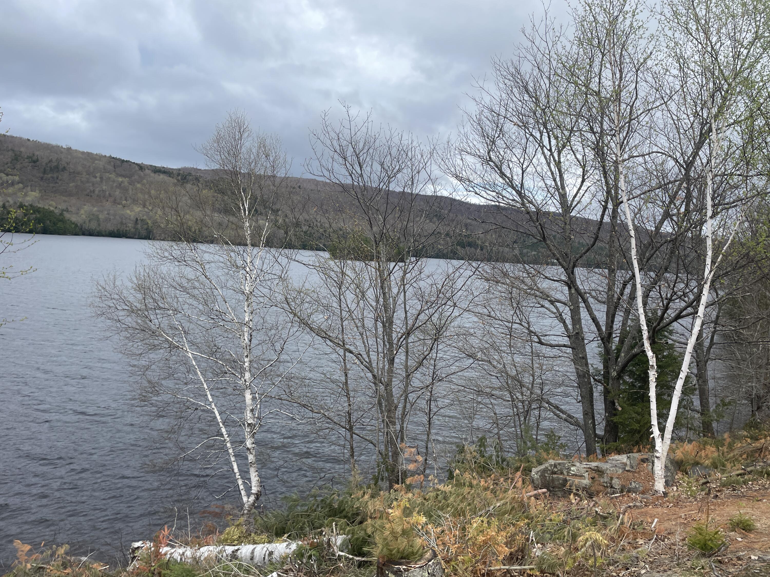 Lot 3 Rt 16 Moscow, ME 04920 - Photo 18 of 18 IMG_3286