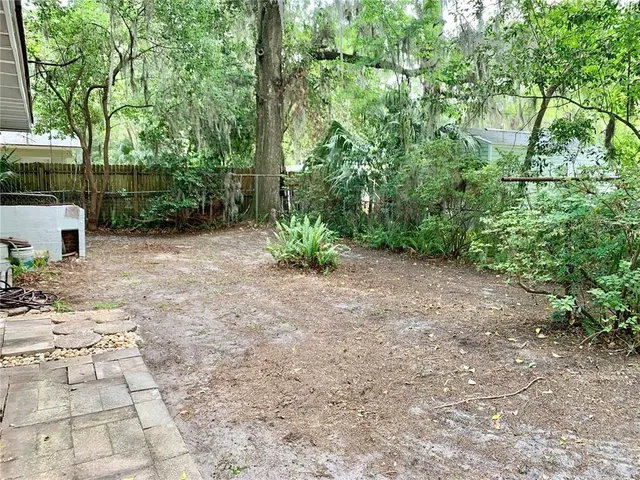 a view of a yard with plants and a trees