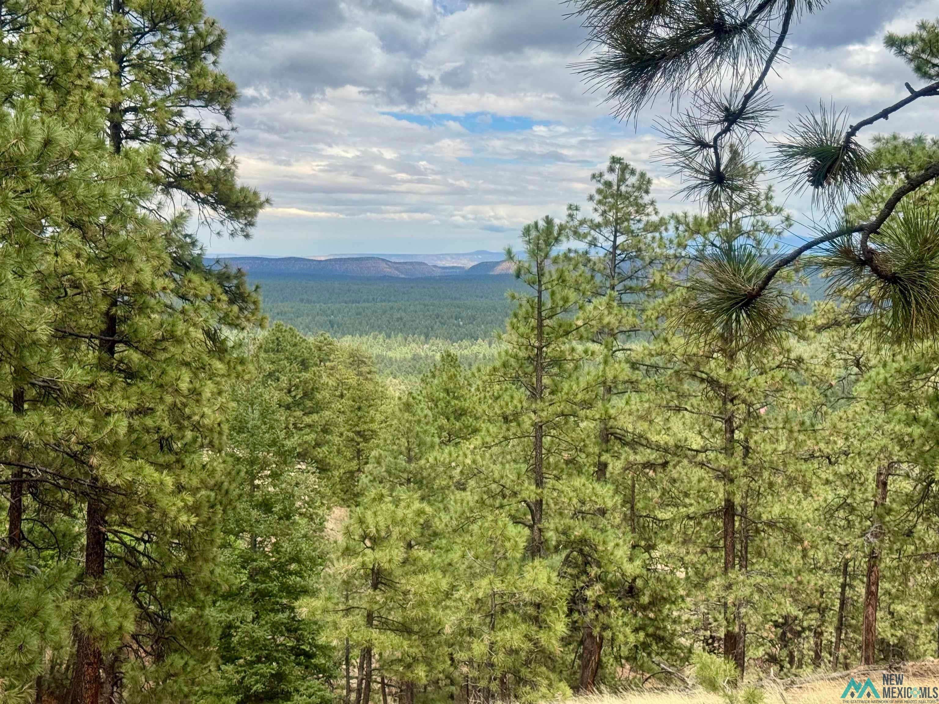 Tbd Oso Rdg Lookout Road Grants, NM 87020 - Photo 26 of 41