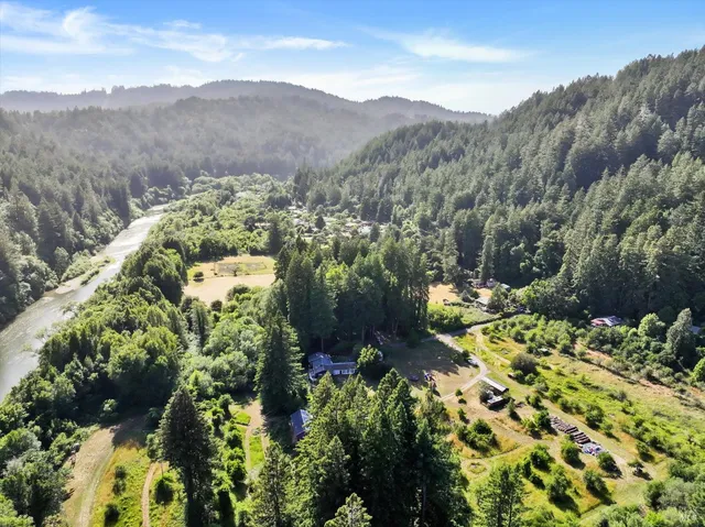 a view of a garden with plants