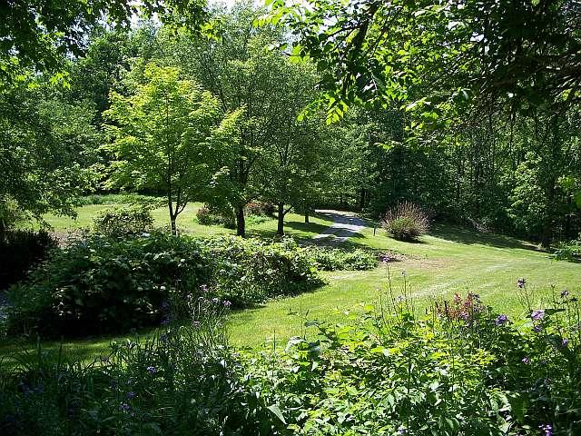 5836 Jeters Chapel Road Vinton, VA 24179 - Photo 19 of 35 Front yard