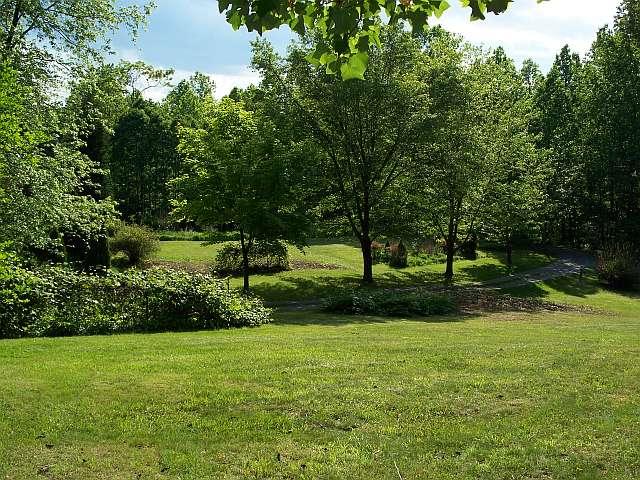 5836 Jeters Chapel Road Vinton, VA 24179 - Photo 20 of 35 Front yard
