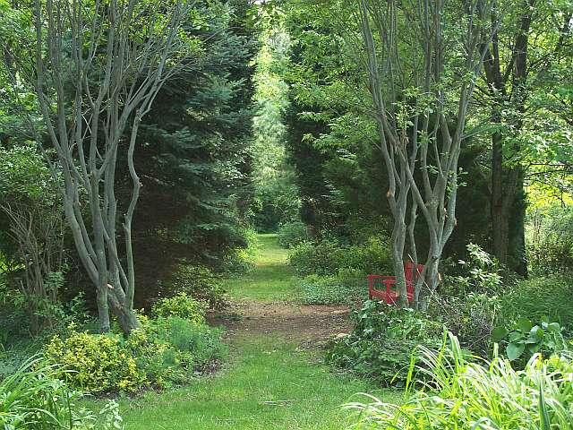 5836 Jeters Chapel Road Vinton, VA 24179 - Photo 21 of 35 Garden Path