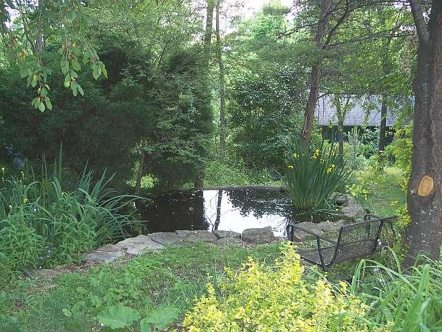 5836 Jeters Chapel Road Vinton, VA 24179 - Photo 23 of 35 Pond