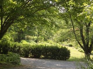 5836 Jeters Chapel Road Vinton, VA 24179 - Photo 26 of 35 Front garden