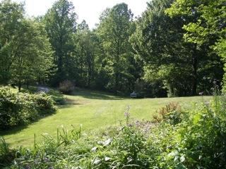 5836 Jeters Chapel Road Vinton, VA 24179 - Photo 27 of 35 Front/Side Gardens