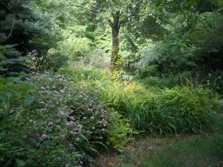 5836 Jeters Chapel Road Vinton, VA 24179 - Photo 28 of 35 Gardens Galore
