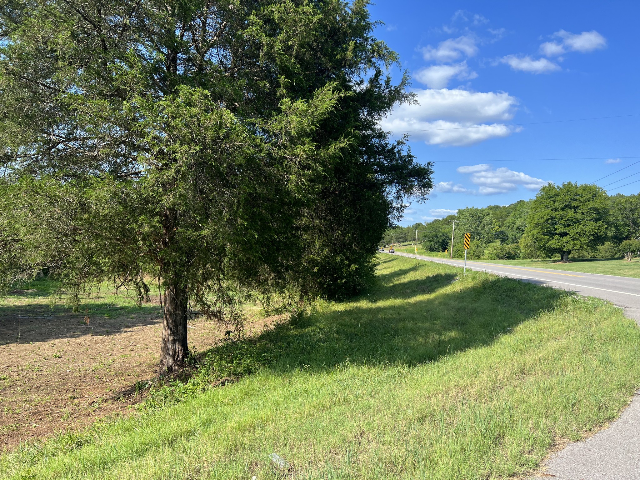20 Providence Road Fayetteville, TN 37334 - Photo 4 of 19 a view of a yard with a tree