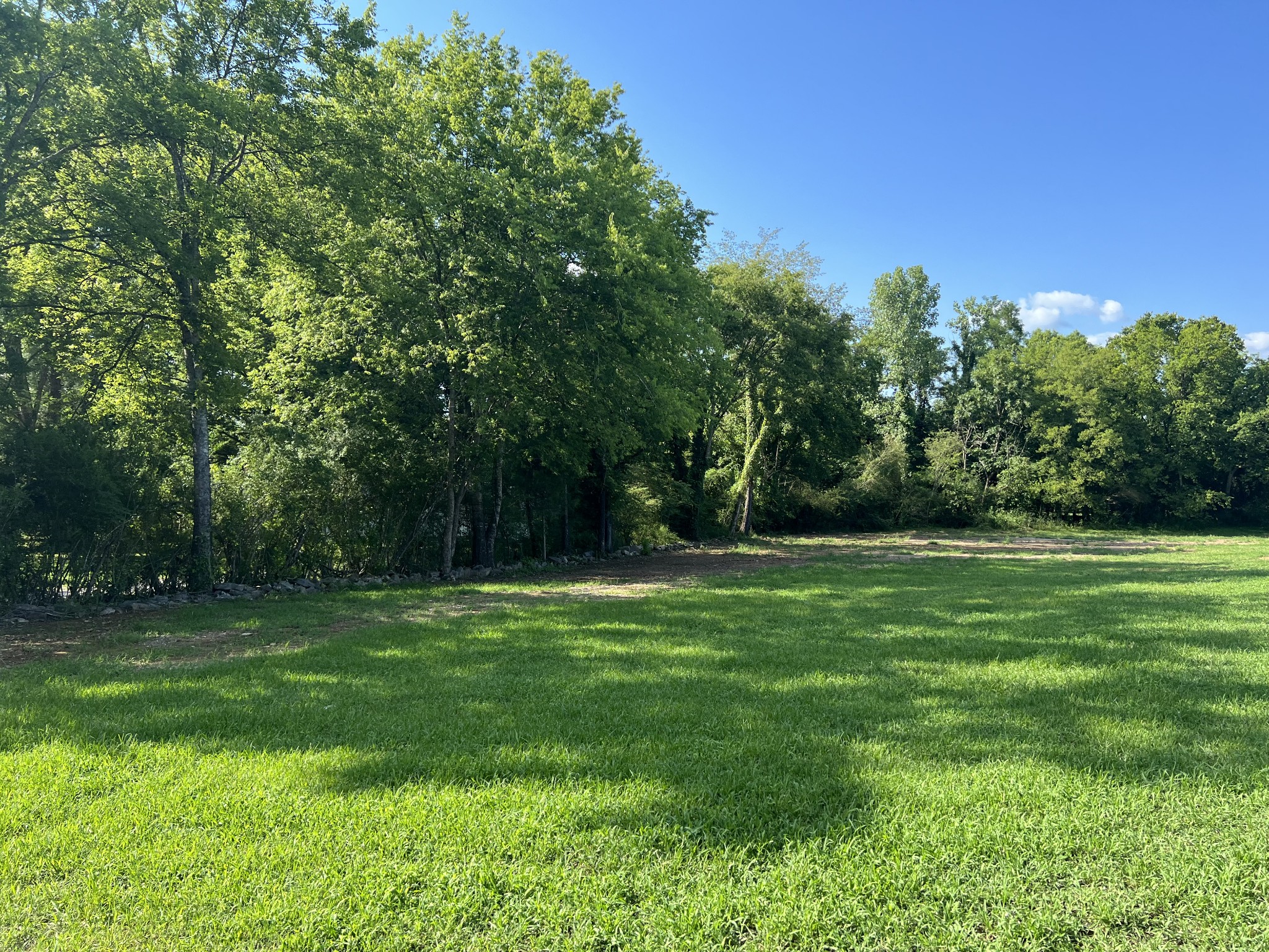 20 Providence Road Fayetteville, TN 37334 - Photo 5 of 19 a view of a grassy field with trees