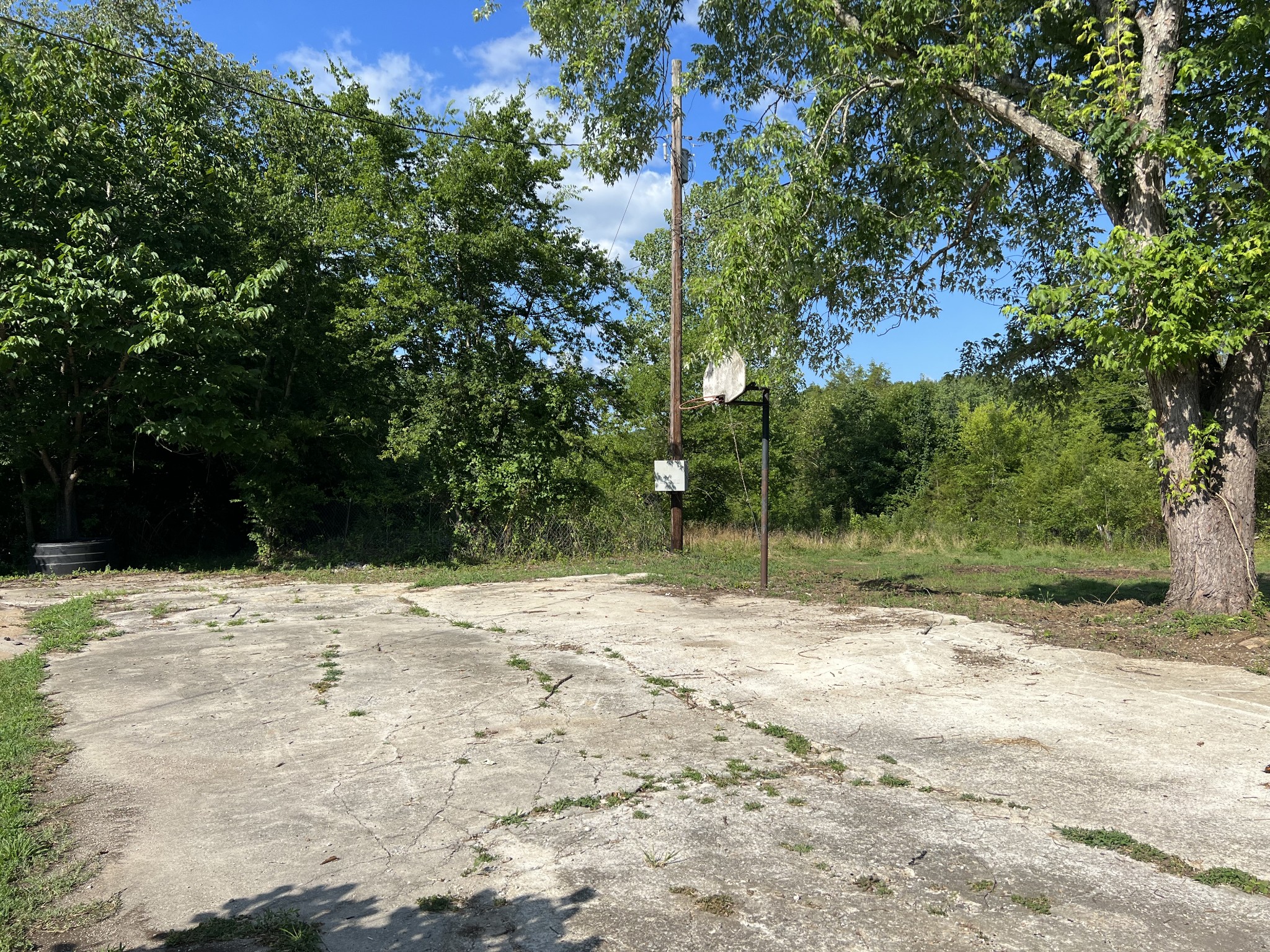 20 Providence Road Fayetteville, TN 37334 - Photo 8 of 19 a view of a yard with a tree