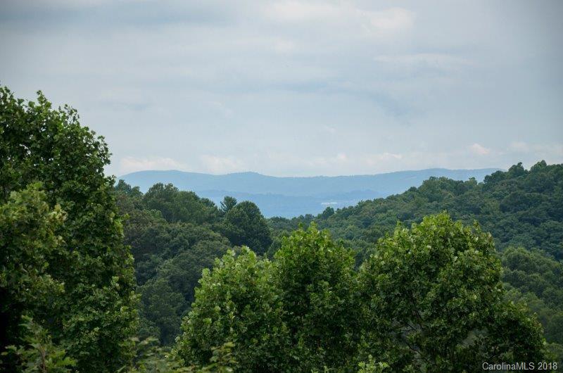 105 Spring Path, Unit 77 Hendersonville, NC 28739 - Photo 11 of 21 an aerial view of mountain with trees around