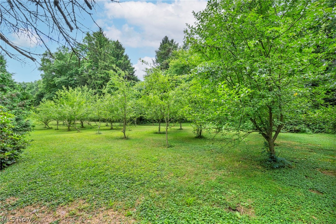 7588 Middle Ridge Road Madison, OH 44057 - Photo 13 of 48