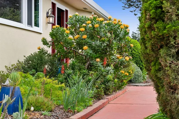 a backyard of a house with lots of green space
