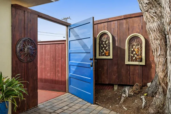 a backyard of a house with plants and wooden floor
