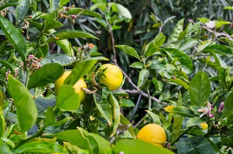 $1,285,000 | 1976 Luzern Street, Seaside, CA 93955