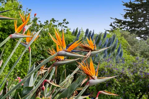 $1,285,000 | 1976 Luzern Street, Seaside, CA 93955