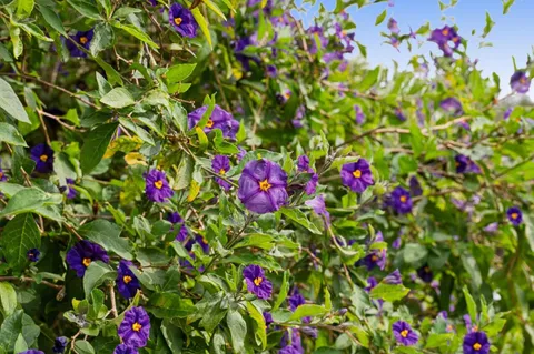 $1,285,000 | 1976 Luzern Street, Seaside, CA 93955