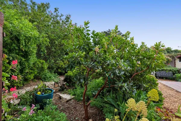a backyard of a house with lots of green space