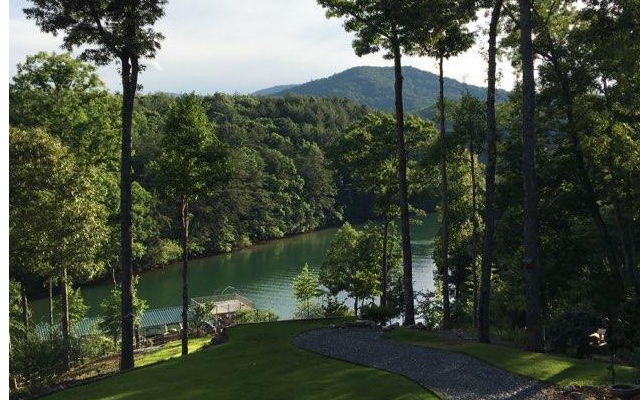 381 Old Camp Loop Morganton, GA 30560 - Photo 3 of 4 Additional View