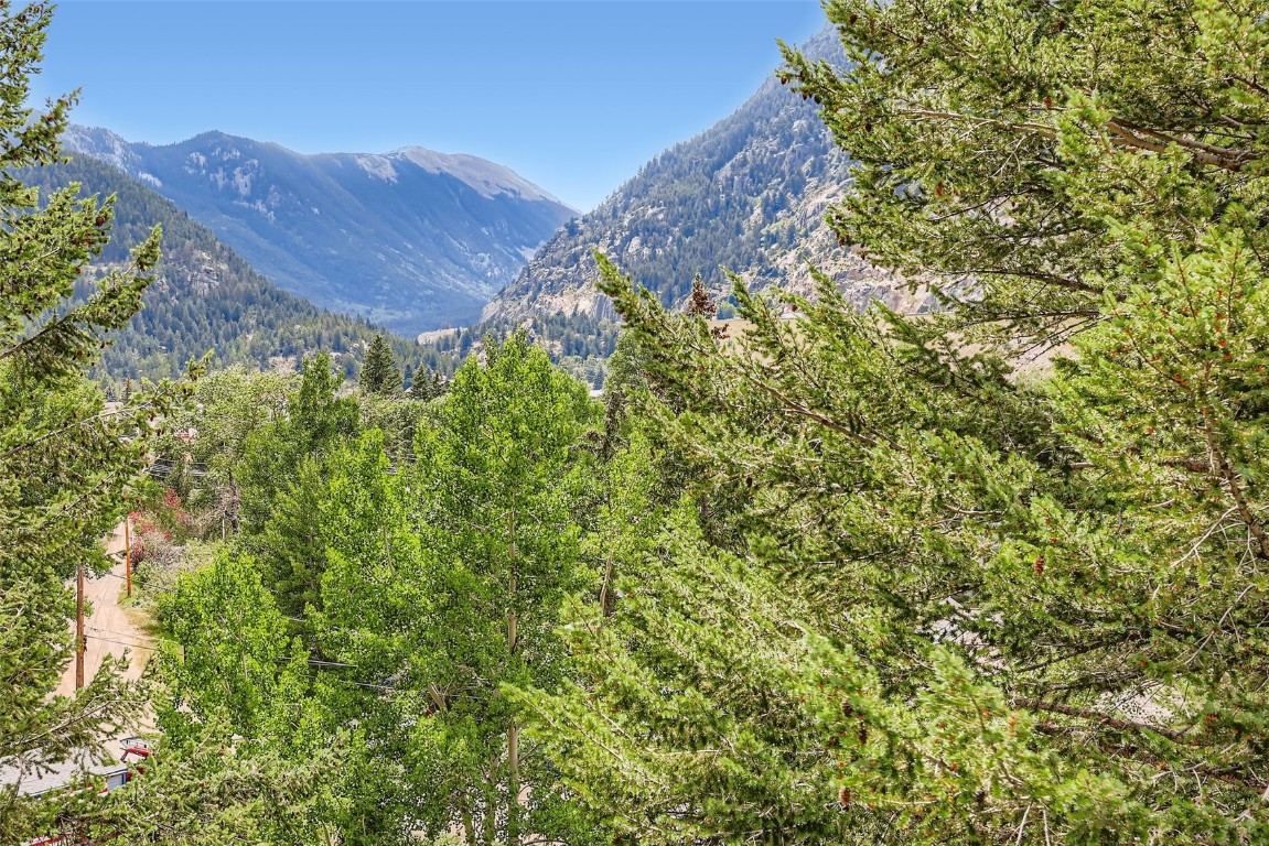 819 Valley View Drive Georgetown, CO 80444 - Photo 2 of 29 a view of a lush green field