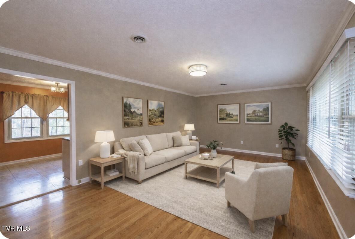 394 Elm Street Gate City, VA 24251 - Photo 5 of 55 living room