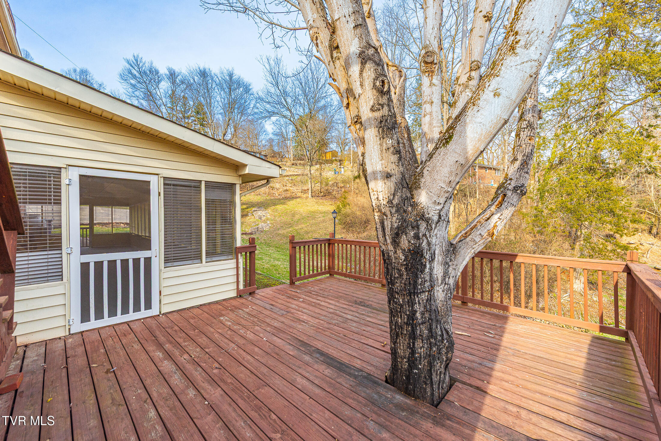 394 Elm Street Gate City, VA 24251 - Photo 52 of 55 decking