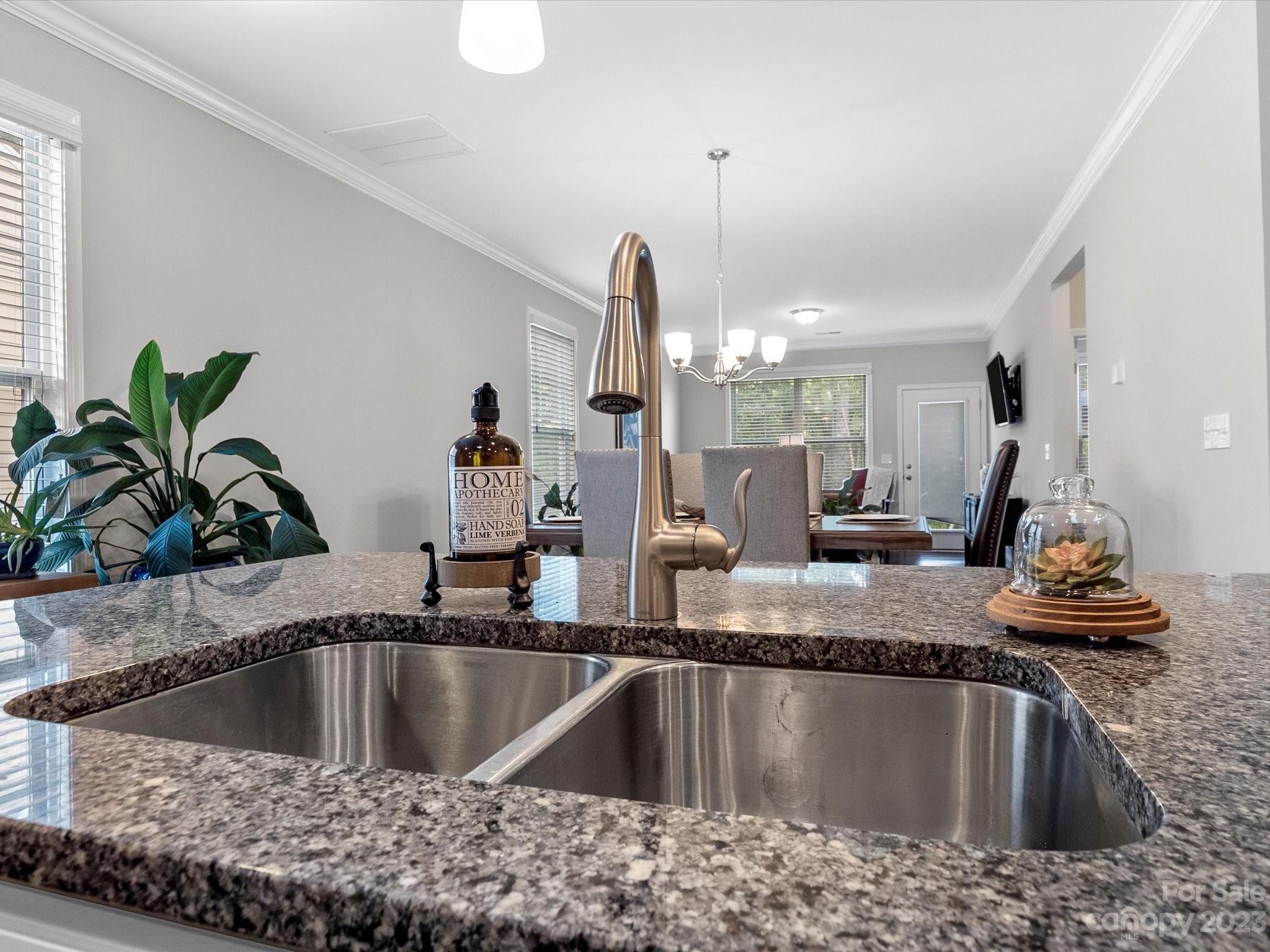 6020 Gribble Lane Lancaster, SC 29720 - Photo 11 of 32 a kitchen with a faucet a potted plant and a sink