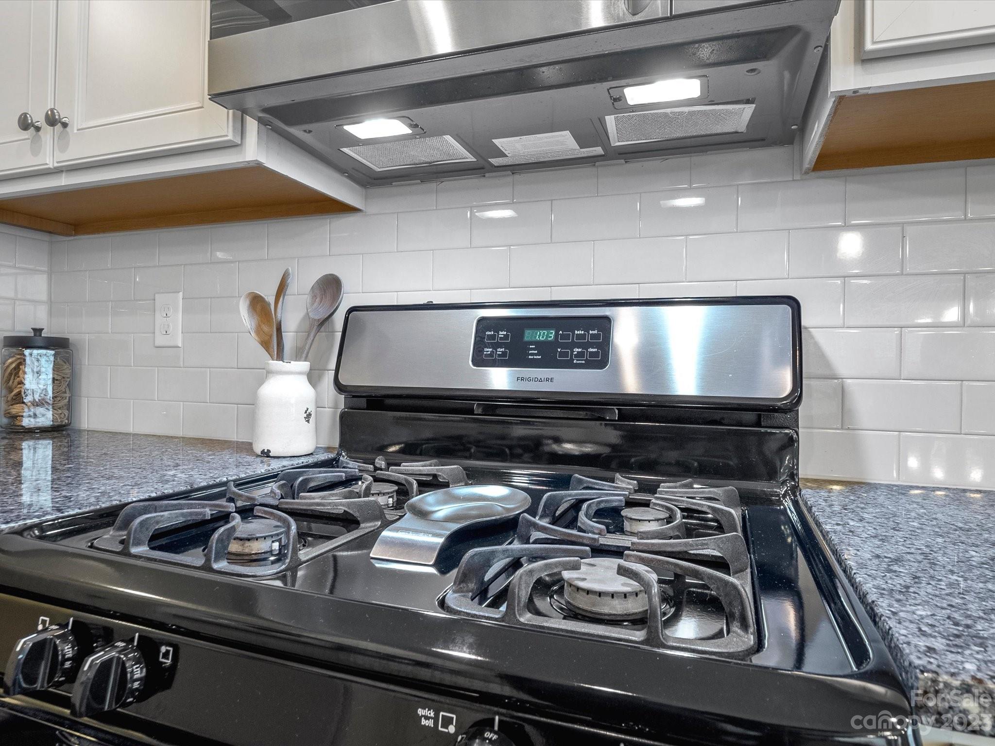 6020 Gribble Lane Lancaster, SC 29720 - Photo 12 of 32 a close view of stove top oven