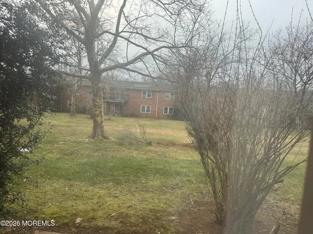 a view of a yard with a tree