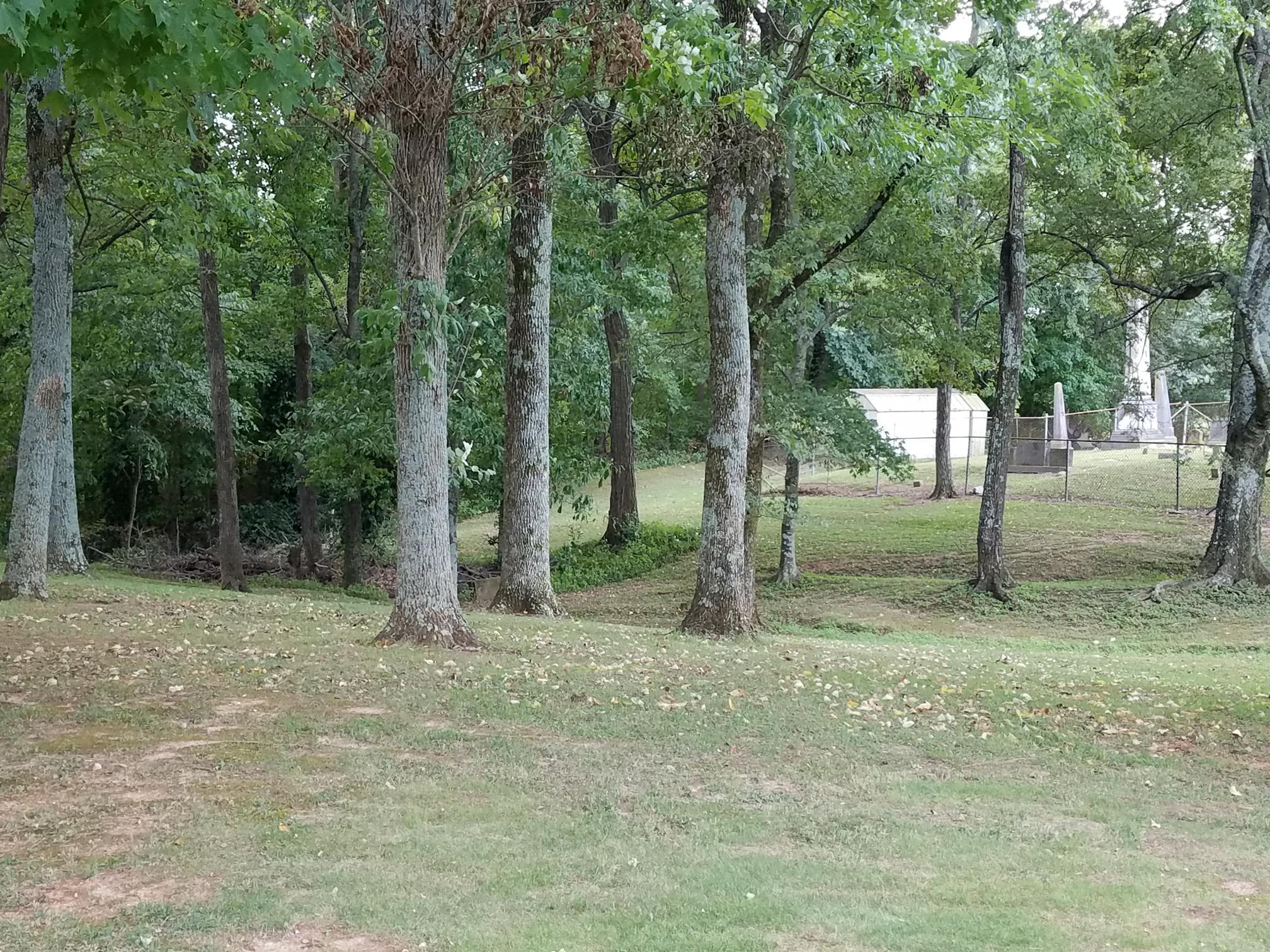 10920 Palmyra Road Oak Grove, KY 42262 - Photo 13 of 13 Yard View