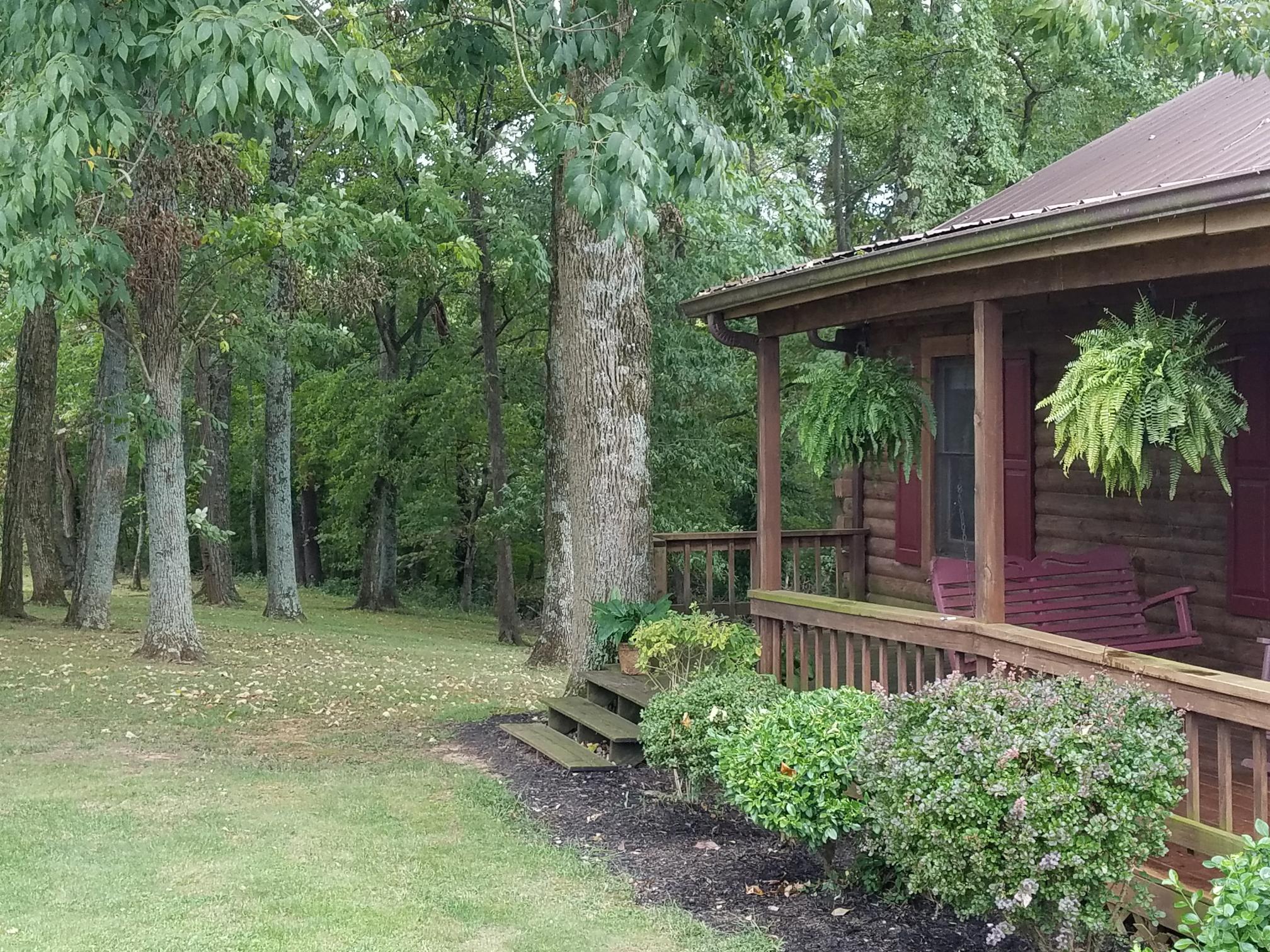 10920 Palmyra Road Oak Grove, KY 42262 - Photo 2 of 13 view from Driveway