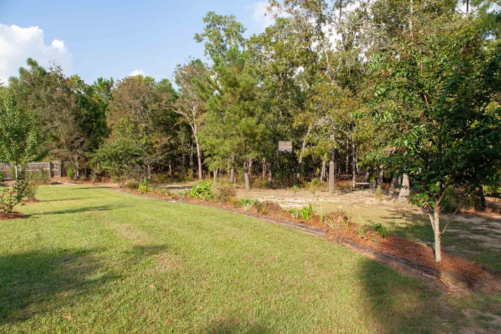 894 State Park Road Windsor, SC 29856 - Photo 35 of 43