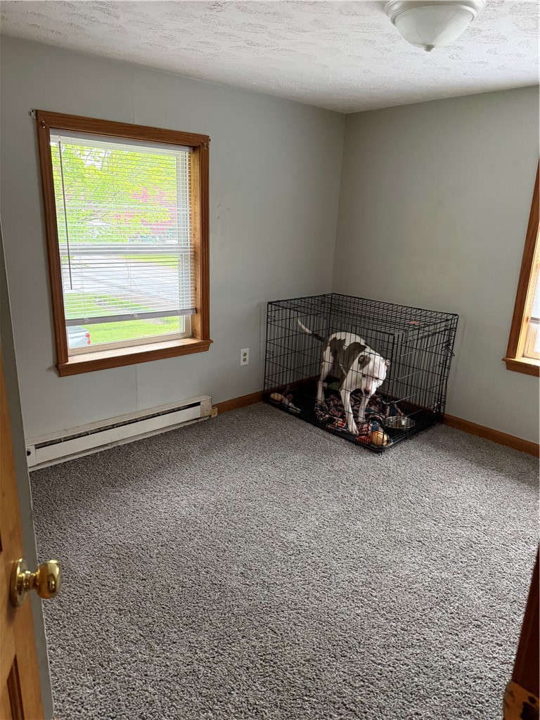 7624 Ridge Road Sodus, NY 14551 - Photo 25 of 25