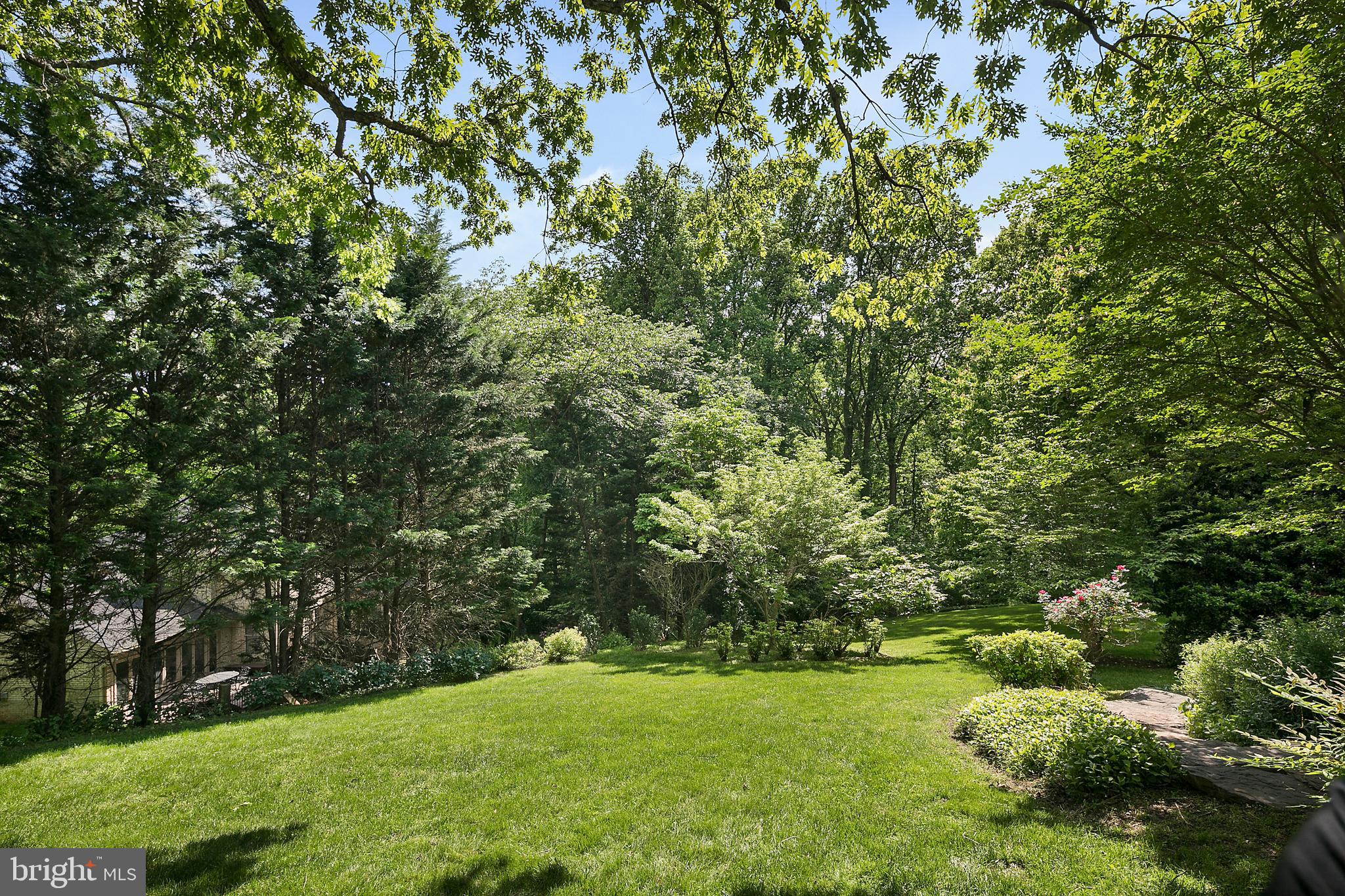 6612 Quaker Ridge Road North Bethesda, MD 20852 - Photo 3 of 40 Private Backyard
