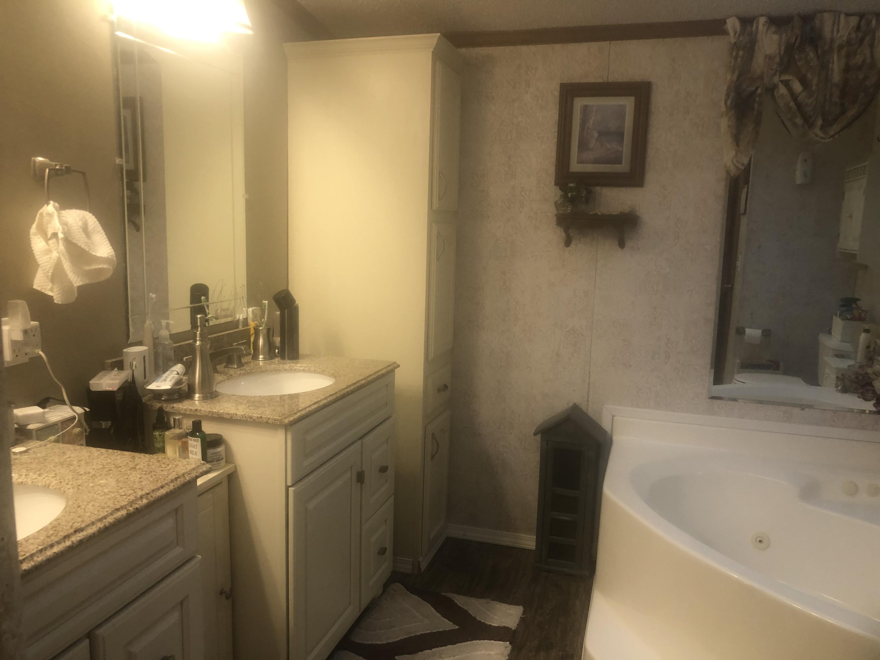 1192 Bright Hope Road Greeneville, TN 37743 - Photo 12 of 31 Master Bathroom