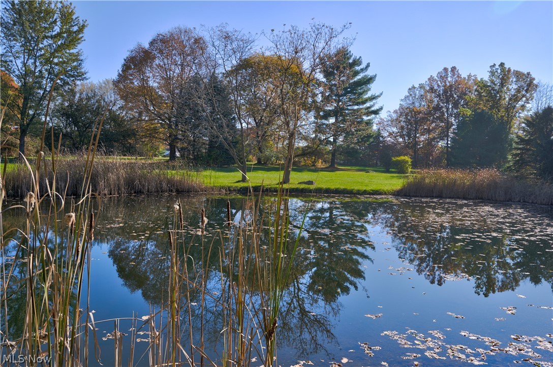 8334 Harris Road Lodi, OH 44254 - Photo 6 of 35 Gallery Image 6