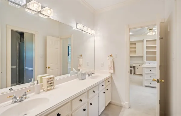 a view of a park with large trees