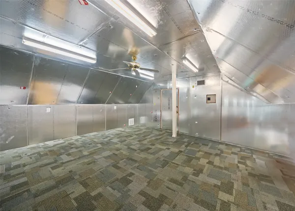 a view of a yard with a tree and a plant