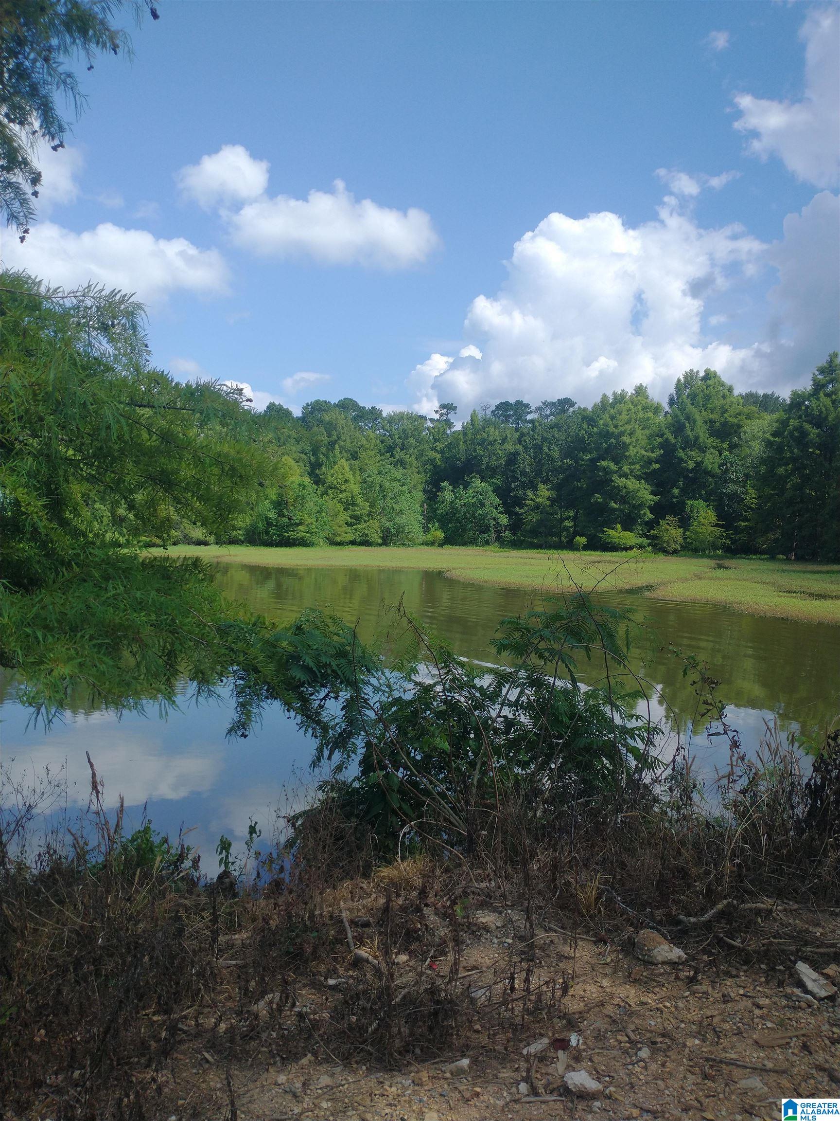 3150 Easonville Road, Unit 16 5 Pell City, AL 35128 - Photo 8 of 8