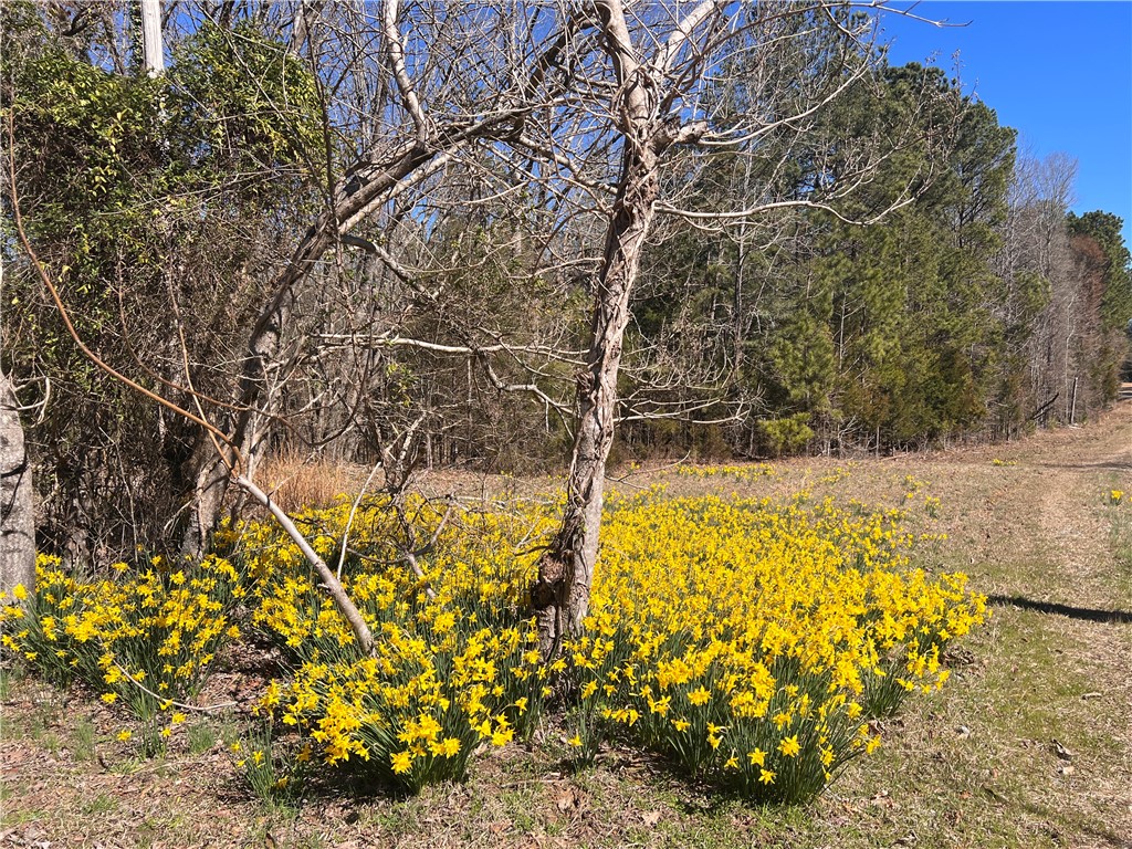 267 Nation Road Abbeville, SC 29620 - Photo 44 of 49
