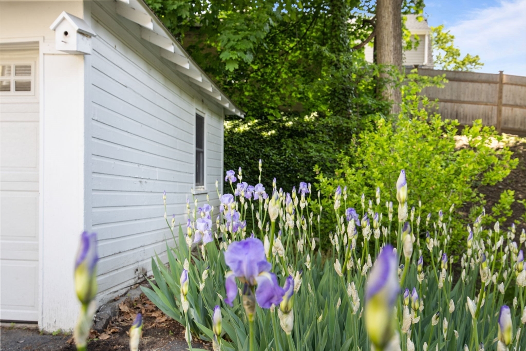 46 Kimball Road Arlington, MA 02474 - Photo 13 of 16 Gallery Image 13