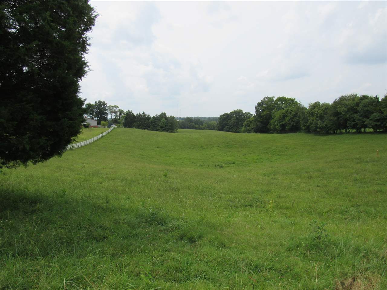 0 Williams Road Scottsville, KY 42164 - Photo 3 of 9 Gallery Image 3