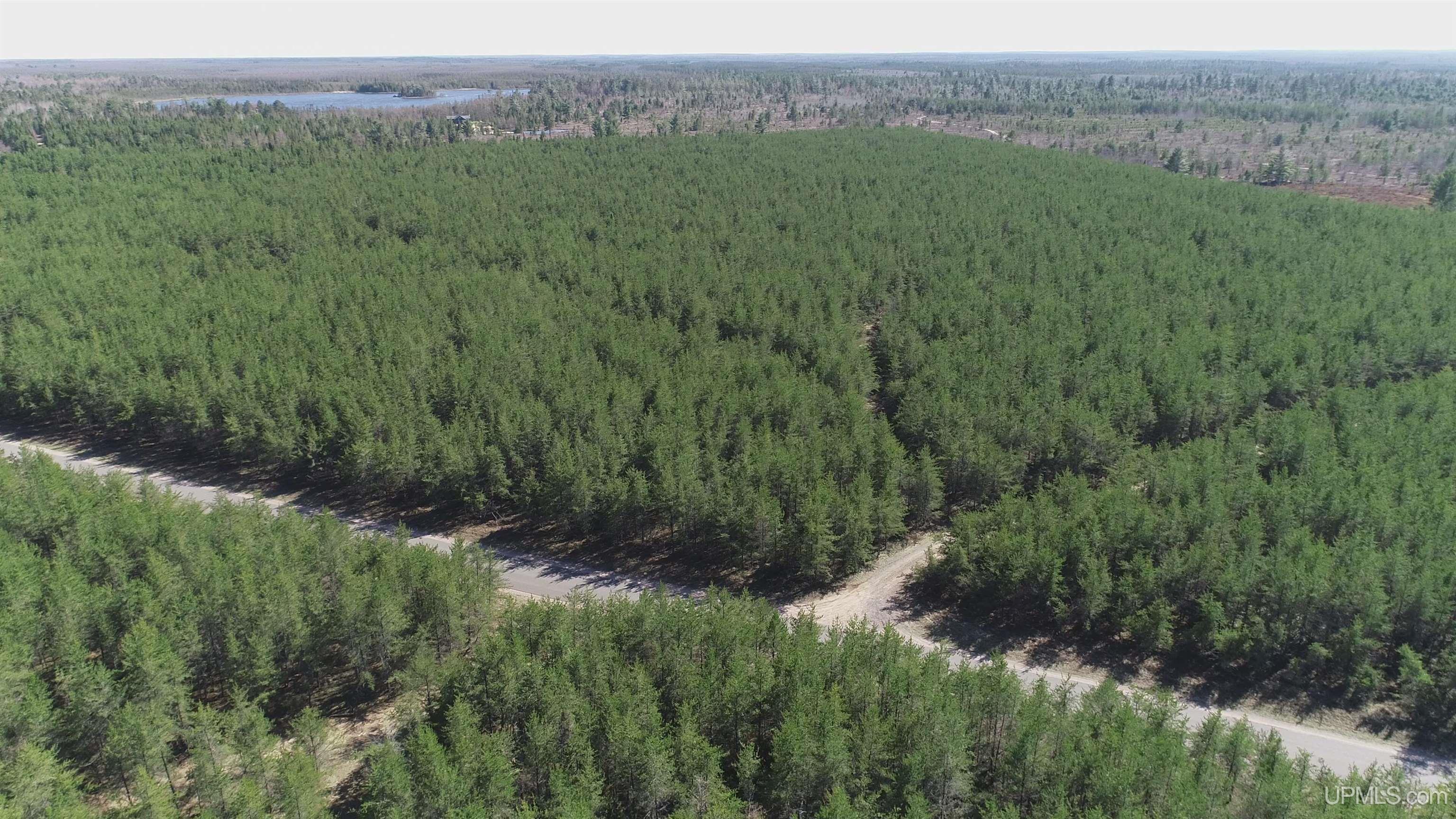 1 Rice Lake Road Gwinn, MI 49841 - Photo 3 of 25