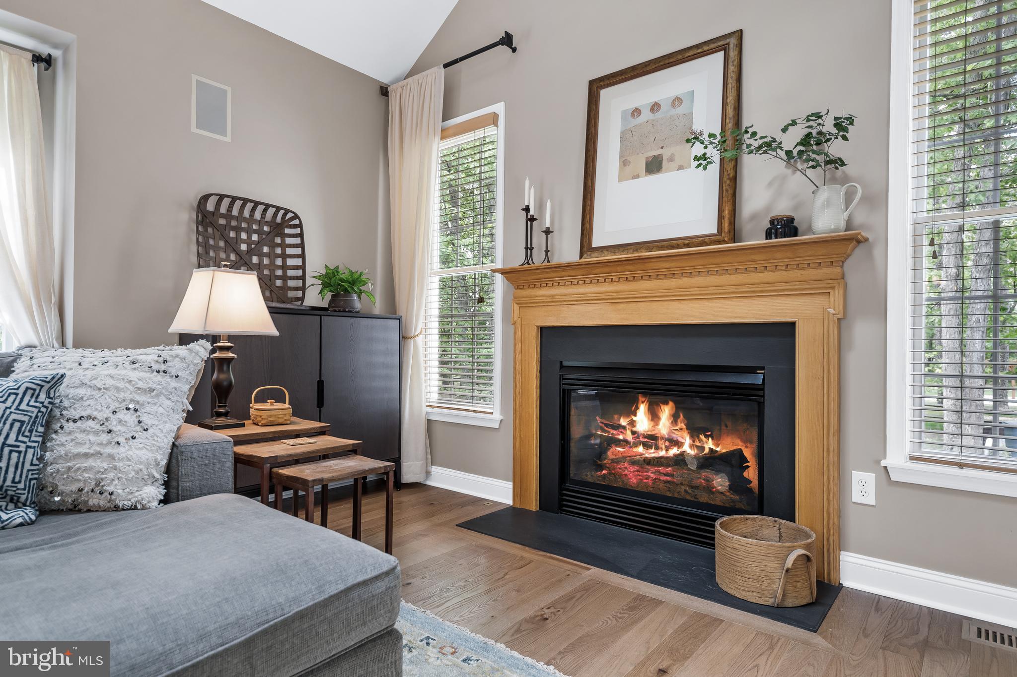 15 Rutland Shamong, NJ 08088 - Photo 23 of 109 Gas Fireplace
