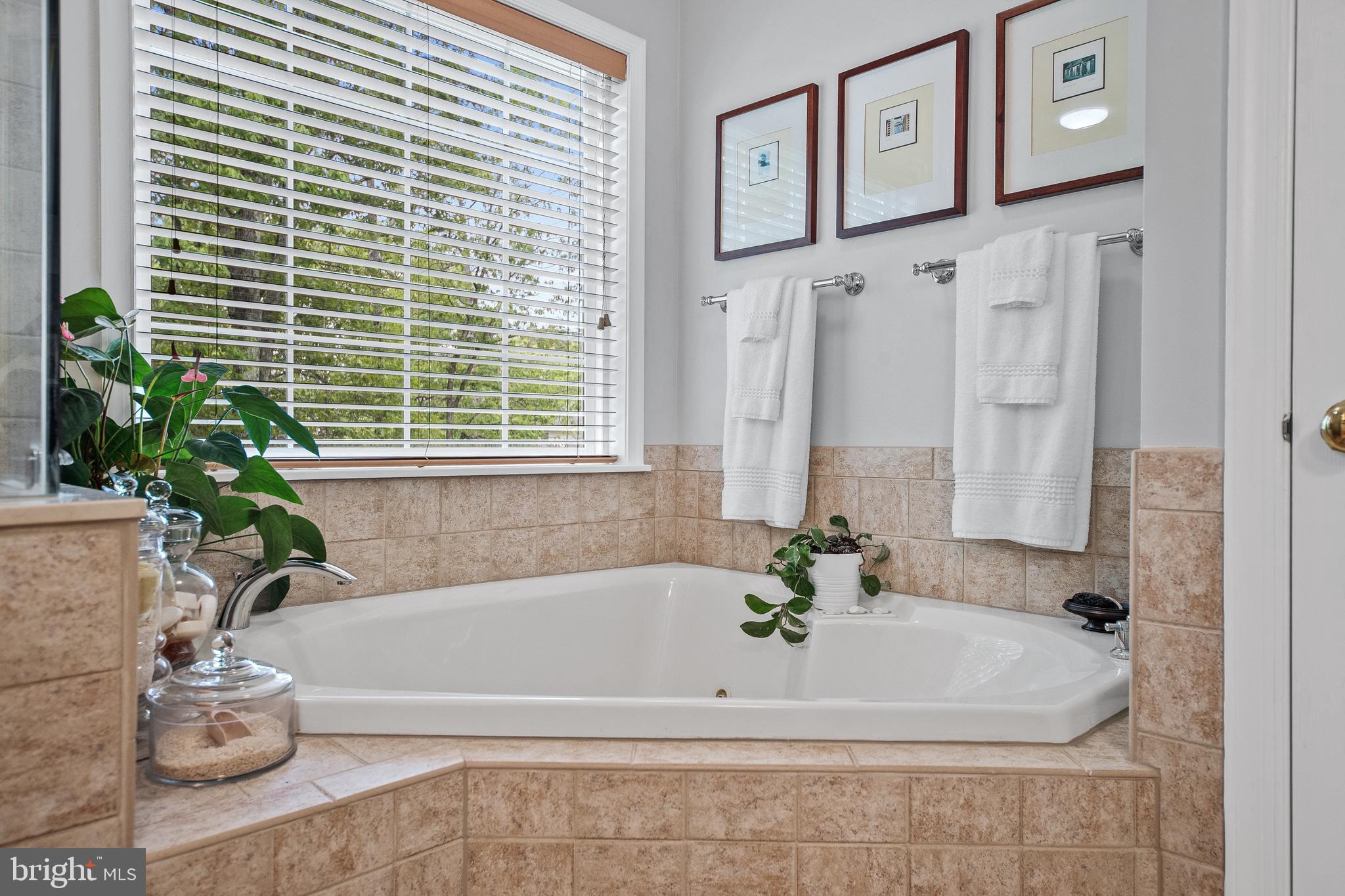 15 Rutland Shamong, NJ 08088 - Photo 55 of 109 Primary Bathroom