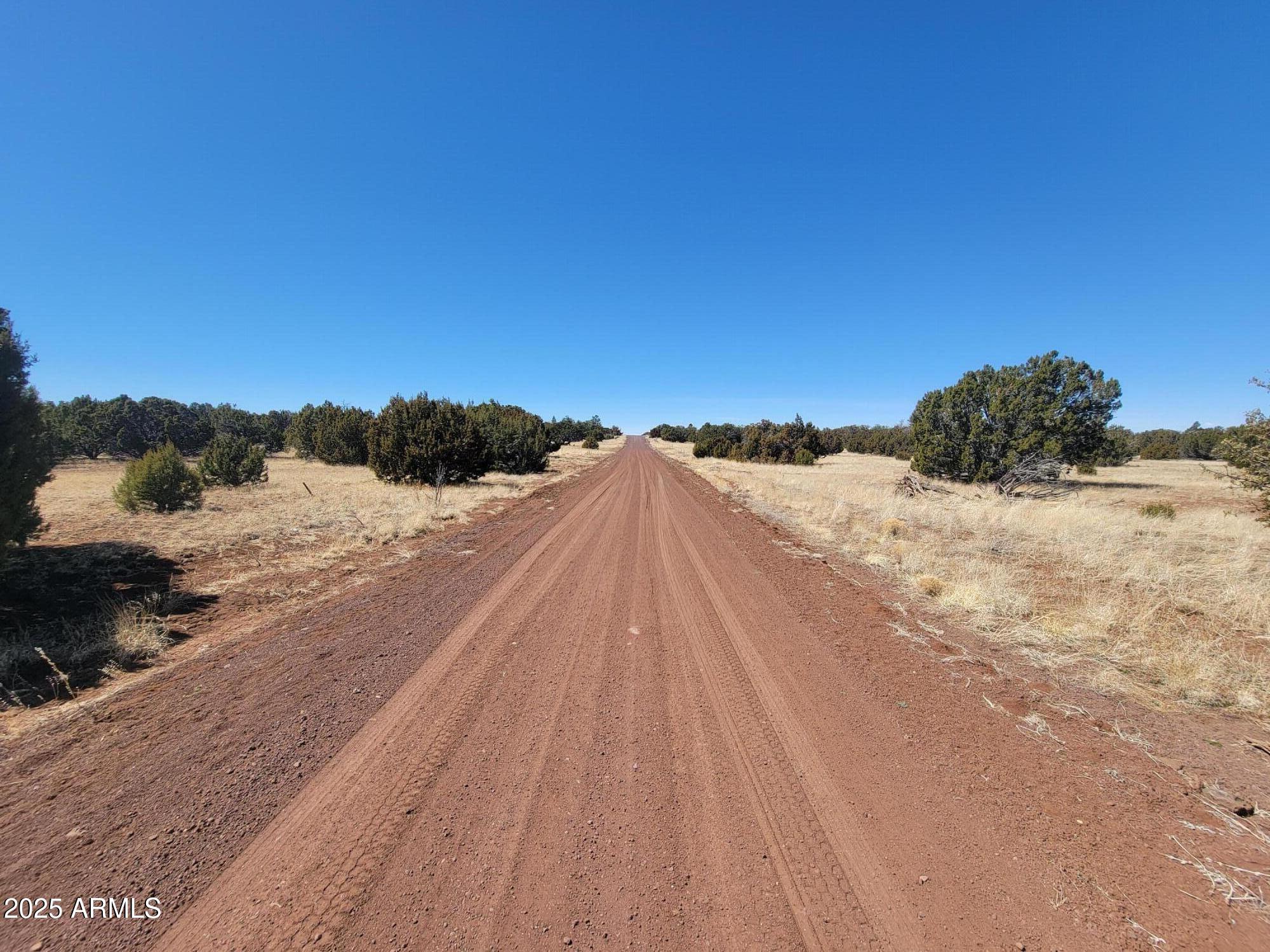 57 County Road Concho, AZ 85924 - Photo 6 of 12