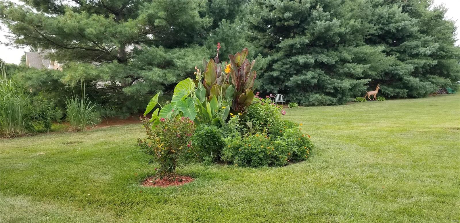 19628 Jones Road Jerseyville, IL 62052 - Photo 31 of 41 Gallery Image 31
