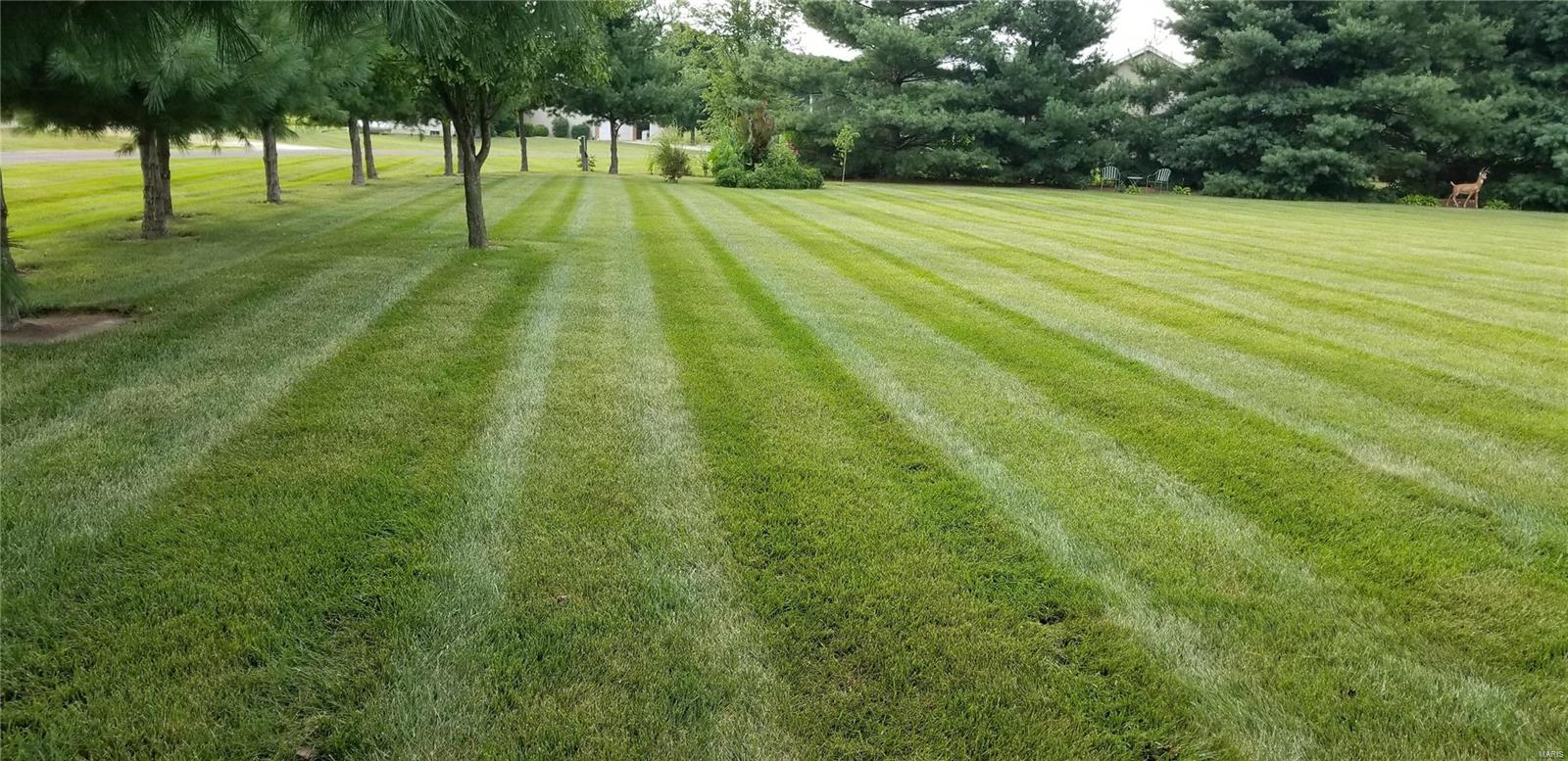 19628 Jones Road Jerseyville, IL 62052 - Photo 33 of 41 Gallery Image 33